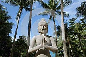 concrete statue of Buddha on tropic back