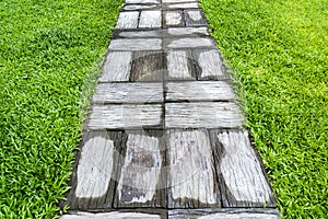 Concrete stone pavement with grass lawn field background. Cement rectangle block shape on grass yard