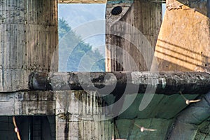 Concrete Structure Circled by Seagulls