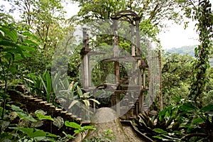 Concrete structure with stairs surrounded by jungle