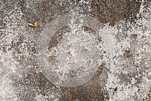 Concrete Texture with Old Ice