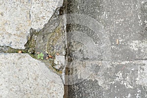 Concrete tiles show signs of cracking and breakage, illustrating the ruin and destruction that have affected this area