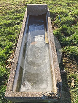 Concrete trough for farmyard animals