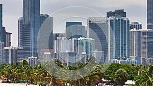 Concrete urban jungles of Miami Brickell in Florida. Palm trees in American downtown office district. High commercial