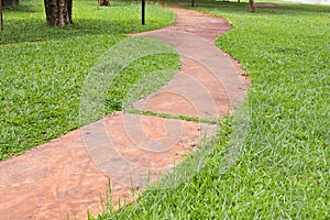 concrete walk way surrounded by green grasses