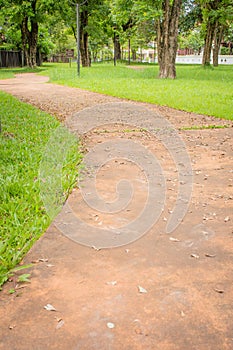 concrete walk way surrounded by green grasses