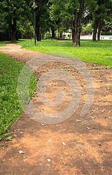 concrete walk way surrounded by green grasses