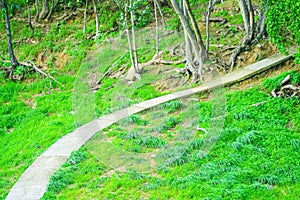 Concrete walkway in the island go up to forest natural background