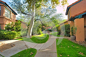 Concrete walkway with lawn and trees near the entrance of the houses in Tucson, Arizona