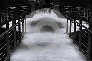 Concrete walkway with shiny metal rails, horizontal wire pickets, and hexagonal platform, black and white