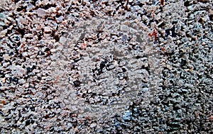 Concrete Wall with close-up photo. cement macro