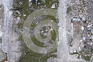 Concrete wall with grunge texture and moss green algae