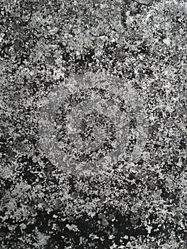 Concrete wall. Image includes a effect the black and white tones