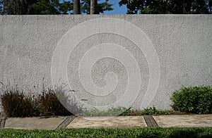 Concrete wall with plaster. Road, sidewalk. Pants, grass, trees. Empty space. Background for design. Template.