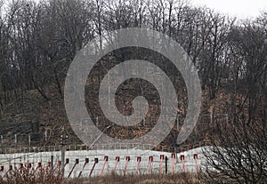 Concrete wall with struts to protect the mountain from landslides