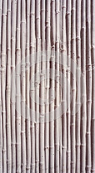 Concrete wall texture bamboo pattern
