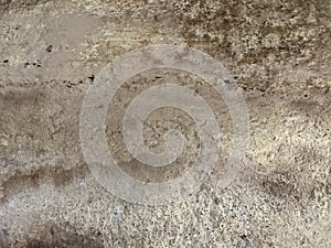 concrete wall texture may used as background . old cement wall texture background, cement surface texture of concrete