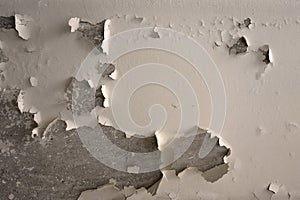 Concrete wall texture with peeling white paint