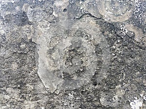 Concrete wall texture.Texture of old concrete wall.Concrete wall of light grey color, cement texture background