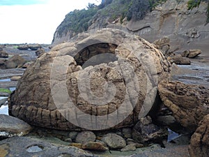 Concretion in New Zealand photo