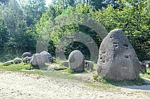 Concretions growing up, old trovant natural formed, cement sand, Romania Europe, close up