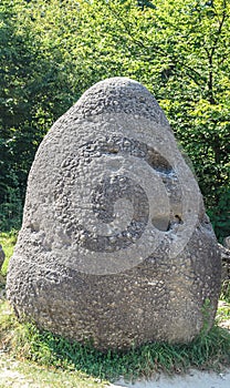 Concretions growing up, old trovant natural formed, cement sand, Romania Europe, close up