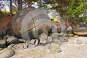 Koutu Beach Concretions New Zealand