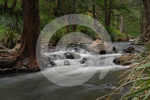 Condamine River QLD