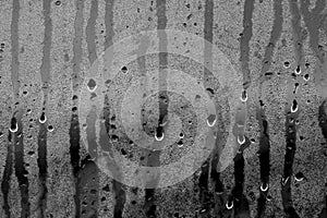 Condensation drops close up in black and white.