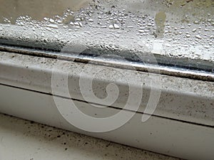 Condensation and mold on a plastic a frame window