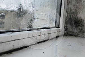 condensation with mold on the wet plastic window.