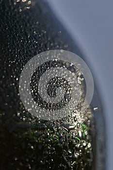 Condensation on the shoulder of a green glass beer bottle.