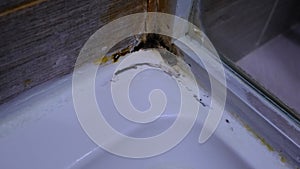 Condensation on walls, ceilings. Footage of bathroom with high humidity, moisture, or water damage. Toxic black mold and