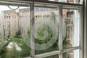 Condensation on a Window