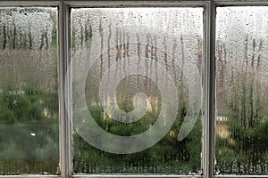 Condensation on a Window