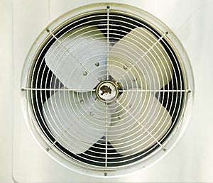 Condenser Fan