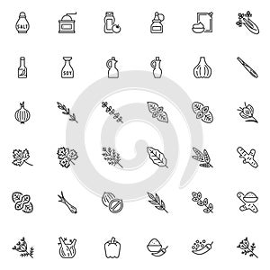 Condiment and herbs line icons set photo
