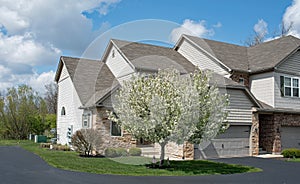 Condo Crabapple Tree in Full Bloom in Spring