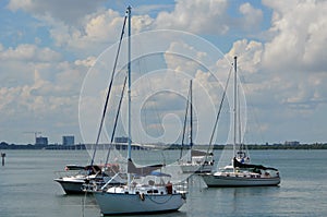 Condo and Live Aboard Sailboats photo