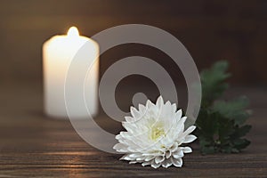 Condolence card with chrysanthemum flower and candle
