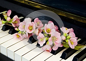 Condolence card - flower on piano