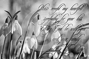 Condolences with white flowers with text