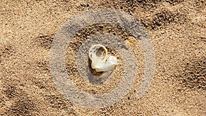 Condom in the sand on the beach