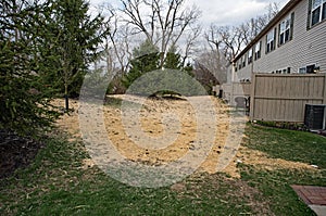 Condominium Newly Seeded Lawn Area, Horizontal