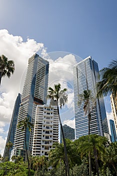 Condominiums with trees at the front in a low angle view at Miami, Florida