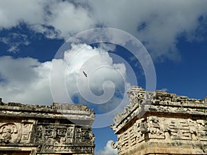 Condor bird over Maya pyramid temple Chichen Itza ruins in Yucatan, Mexico photo