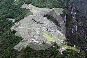 Condor on machu pichu