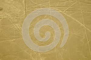 The Condor - Nasca Lines - Peru