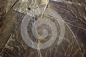 Condor, Nazca Lines in Peru photo