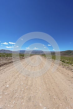 Condor, Quebrada de Humahuaca, Jujuy, Argentina